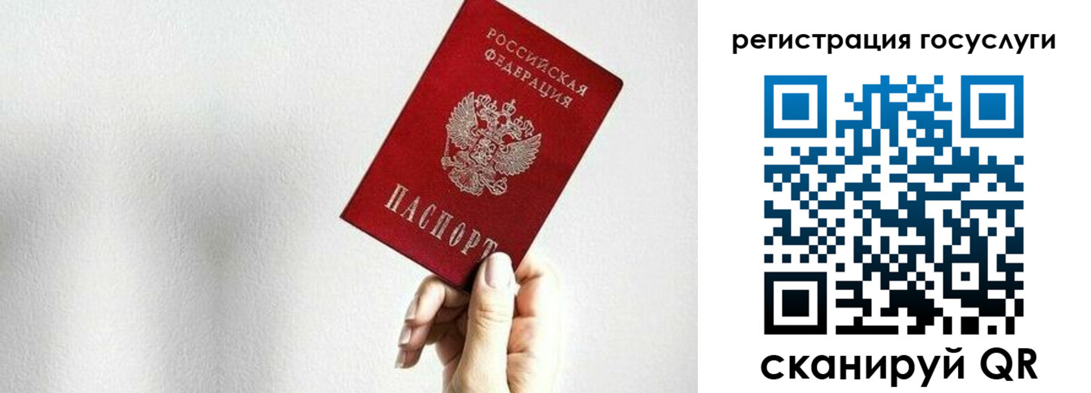 прописка гарантия в Красноярском крае